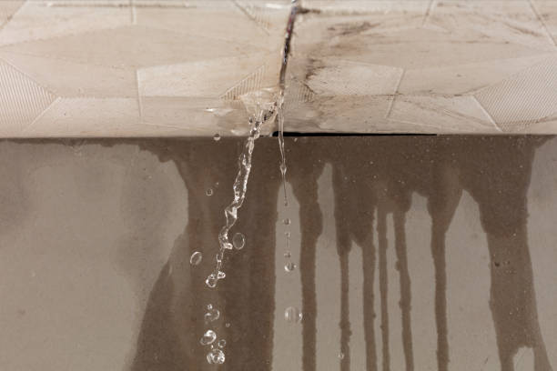 Professional Water Damage Repair technician working in Palo Pinto, TX